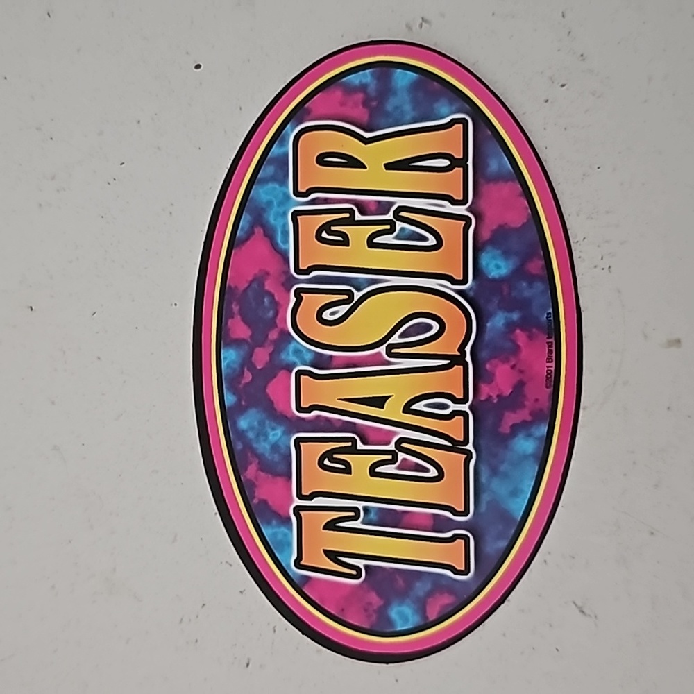 10/$25 vintage y2k teaser sticker